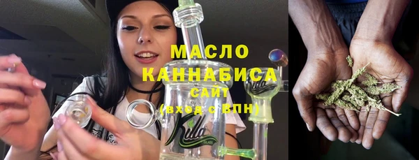 шишки Абаза