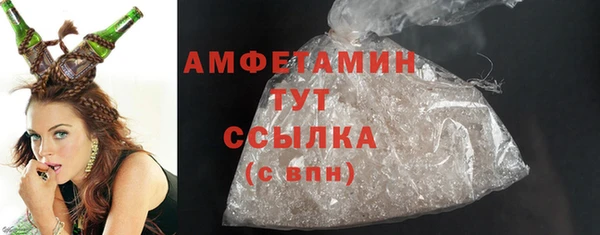 шишки Абаза