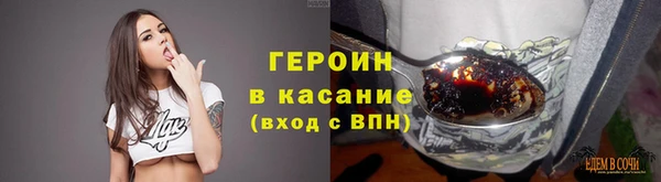 шишки Абаза