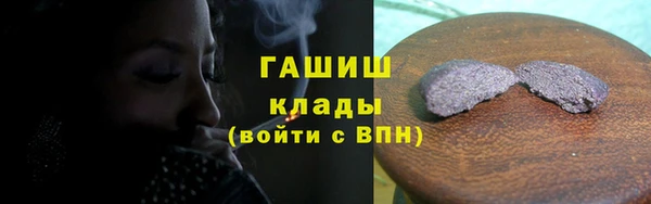 прущие грибы Алзамай