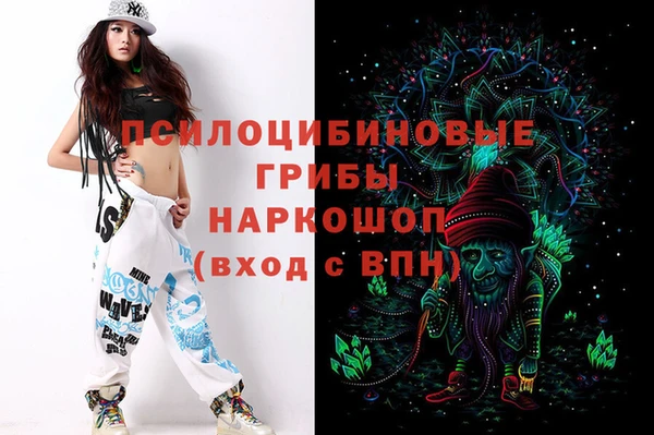 шишки Абаза