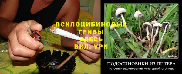 ECSTASY Абинск