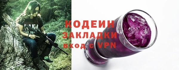 шишки Абаза