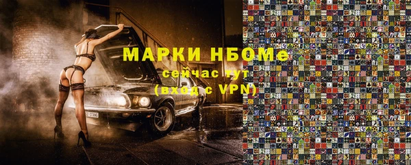 шишки Абаза