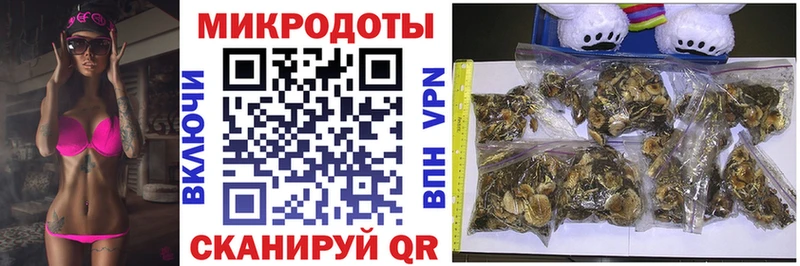 дарнет шоп  Духовщина  Псилоцибиновые грибы Cubensis 